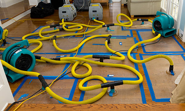 Professional Basement Flood Cleanup technician working in Garden Prairie, IL